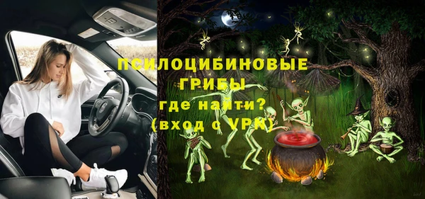 Альфа ПВП Белая Холуница