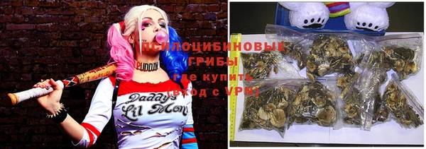 Альфа ПВП Белая Холуница