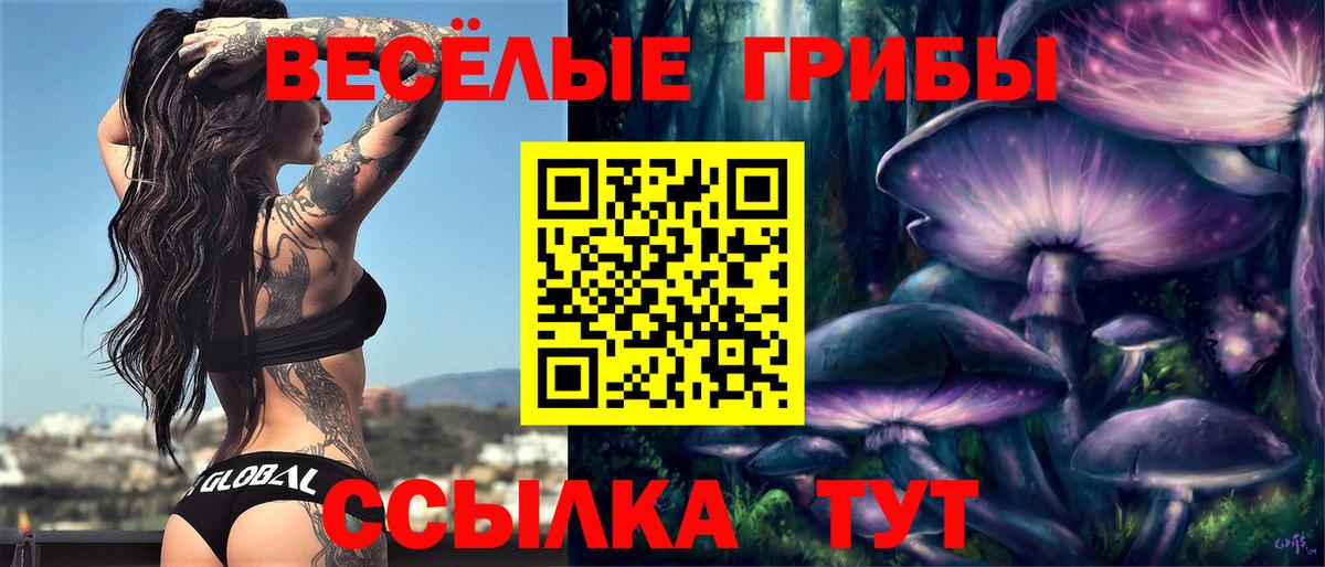 Галлюциногенные грибы GOLDEN TEACHER  Вход с VPN  Камышин 