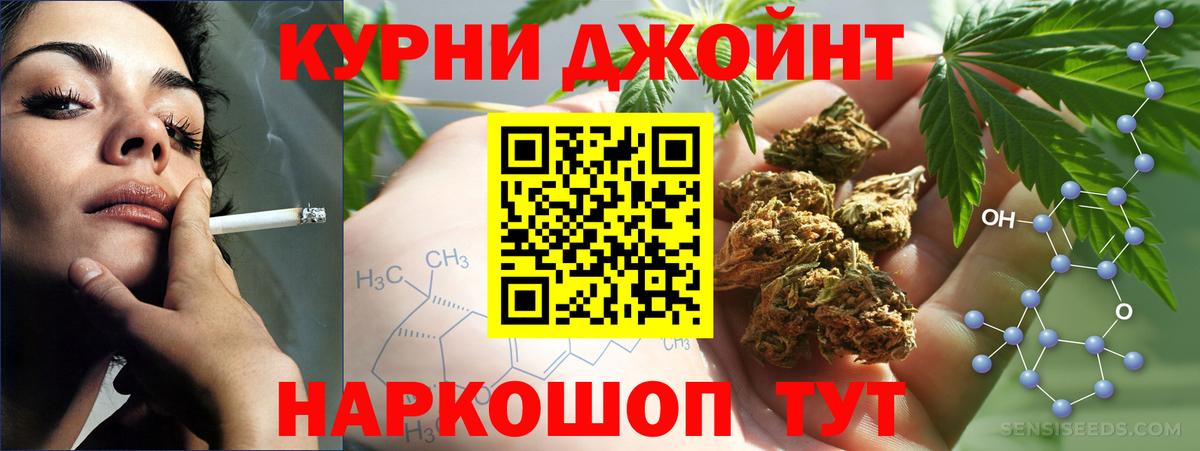 Камышин  Каннабис конопля  Вход с VPN  Марихуана Bruce Banner  Шишки марихуана Amnesia 